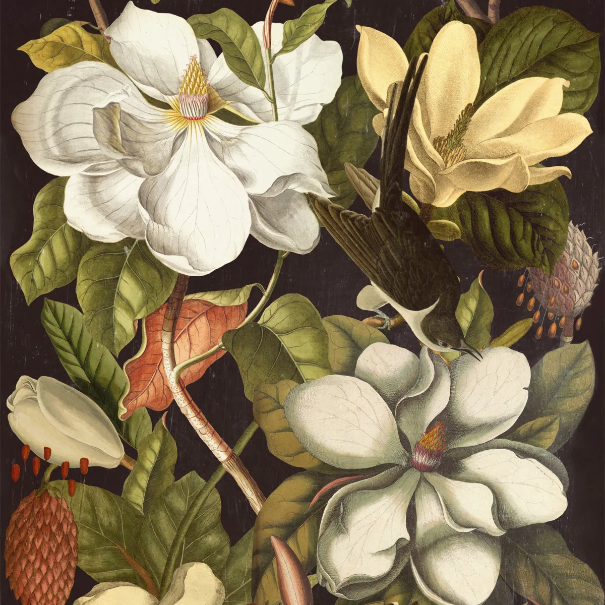 Magnolia Wallpaper
