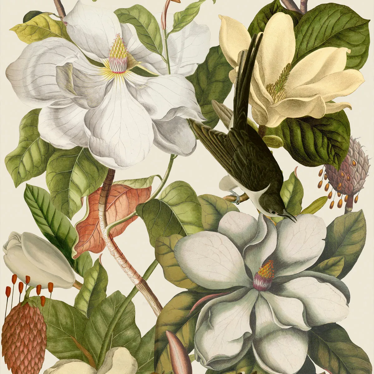 Magnolia Wallpaper