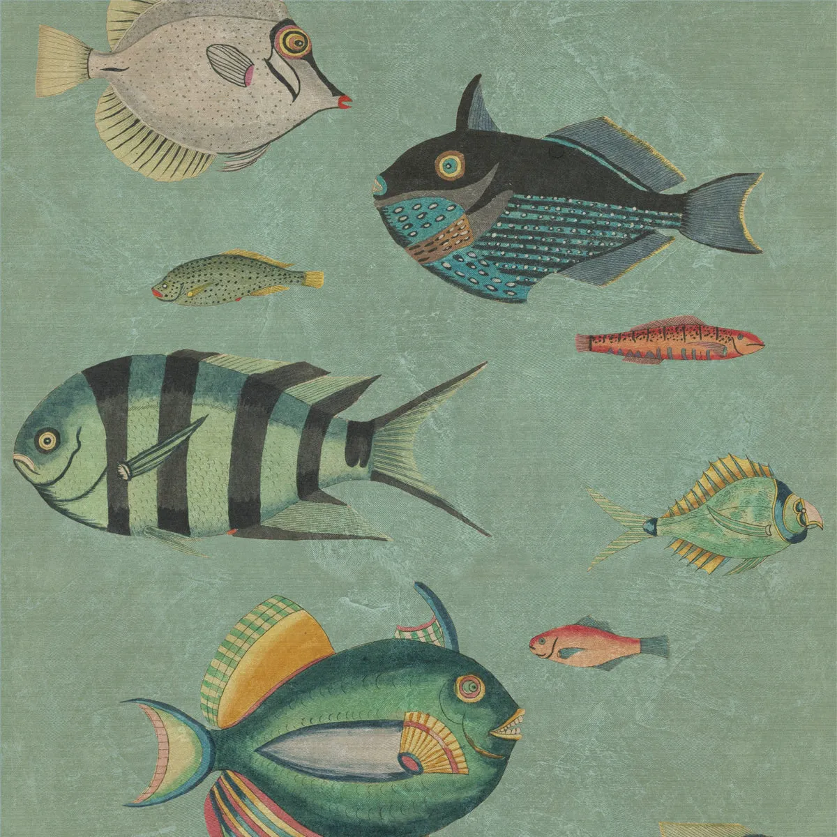 Poissons Wallpaper